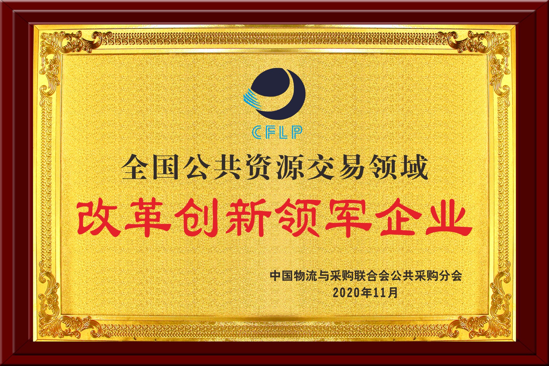 全國公共資源交易領(lǐng)域改革創(chuàng)新領(lǐng)軍企業(yè)