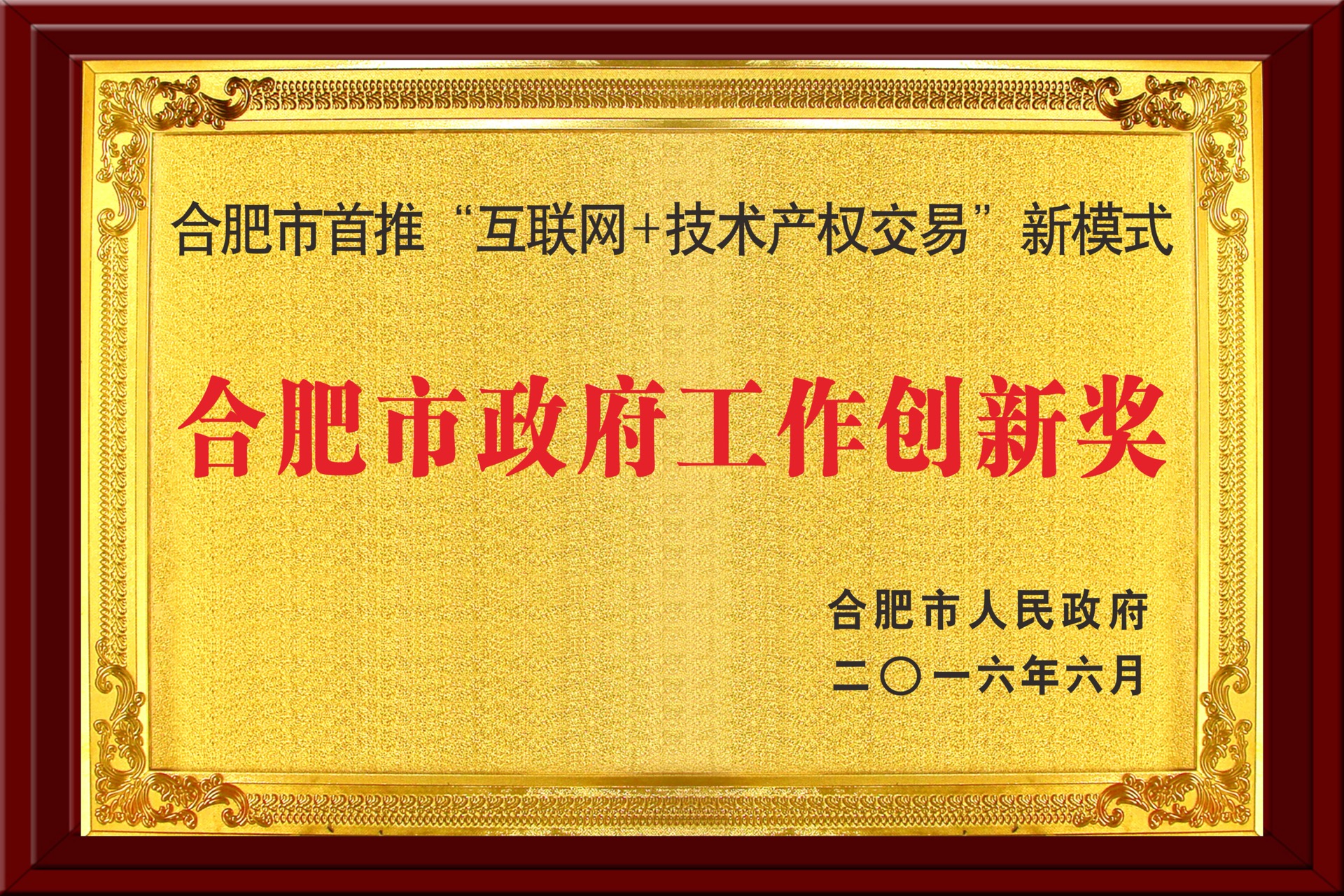 合肥市政府工作創(chuàng)新獎(jiǎng)
