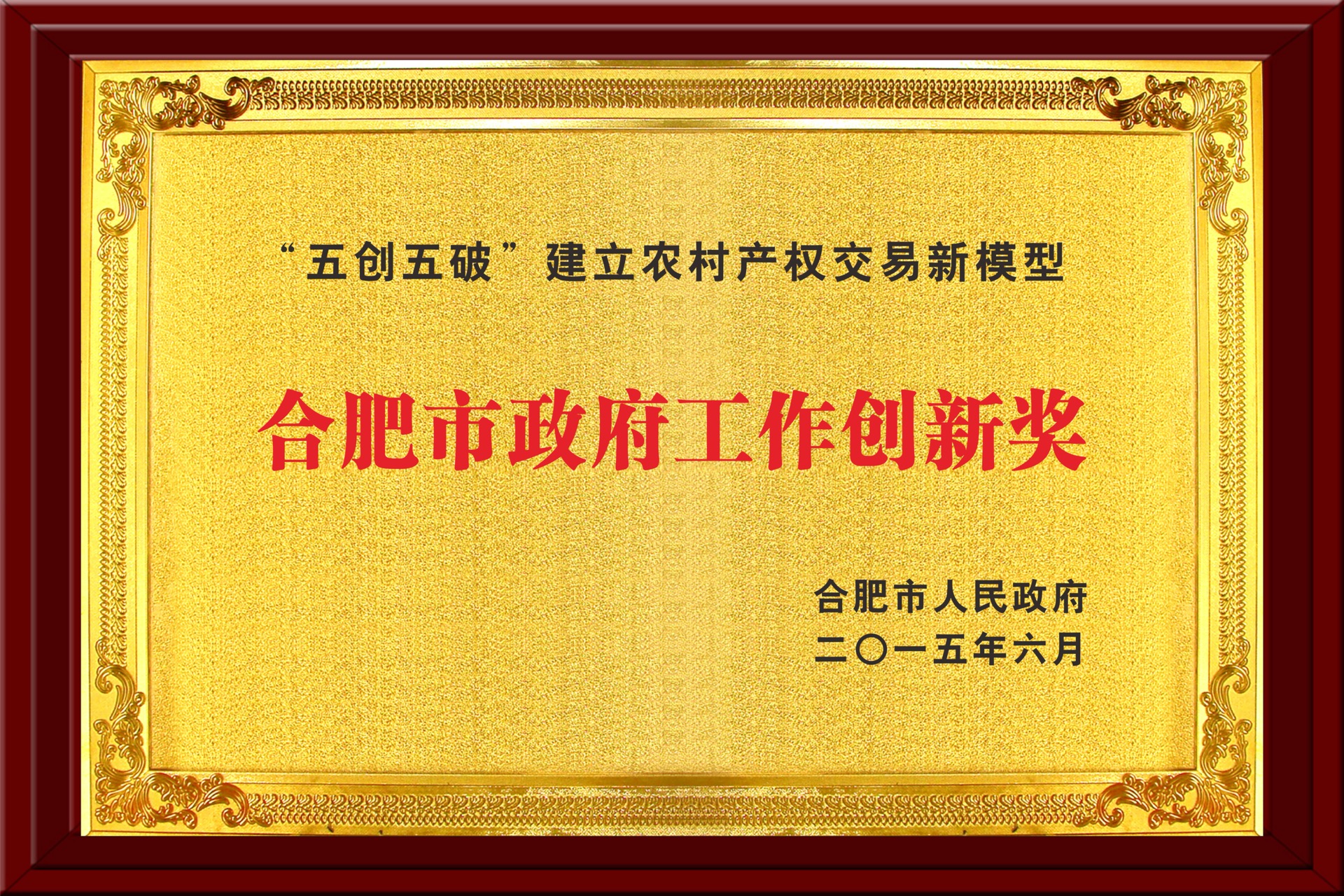 合肥市政府工作創(chuàng)新獎(jiǎng)